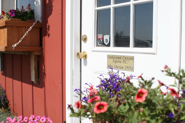 Castlewood Canyon Equine - Quality Horse Veternarian Services for Franktown Co, Elizabeth, Parker and the surrounding areas.
